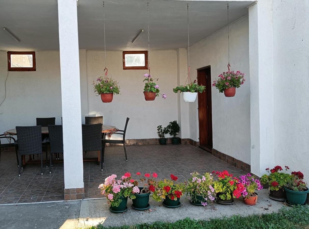 Privatna Soba Dusan Surčin Exterior foto